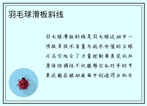 羽毛球滑板斜线